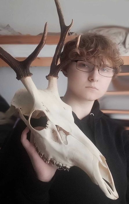 Korepetycje online - matematyka (szkoła podstawowa/średnia/matura)