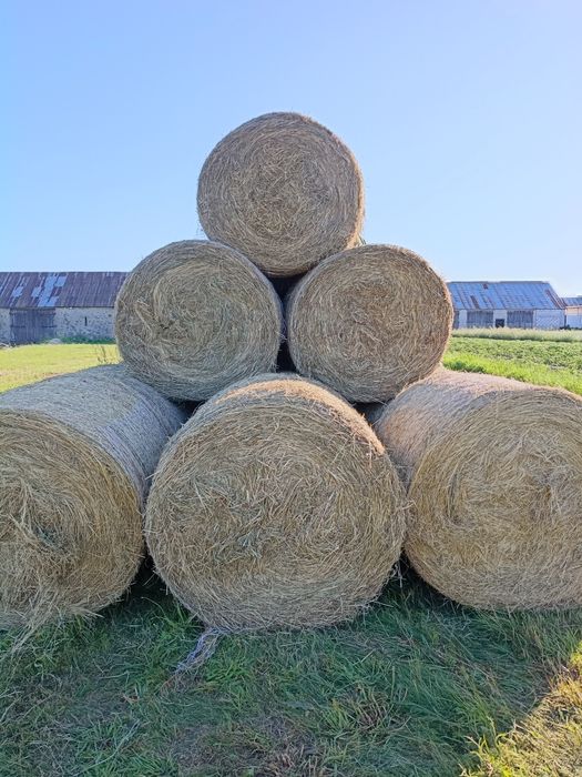 Bele 120x120 siano,słoma, sianokiszonka