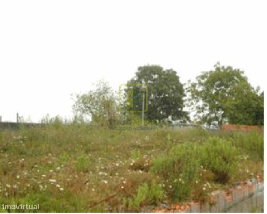 Land Plot