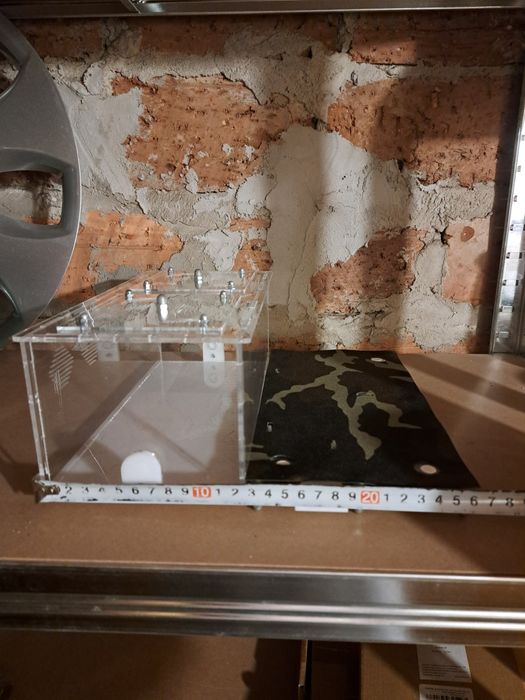 Formikarium duże z areną