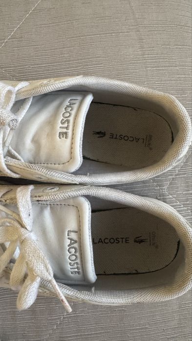 Sapatilha lacoste criança venda