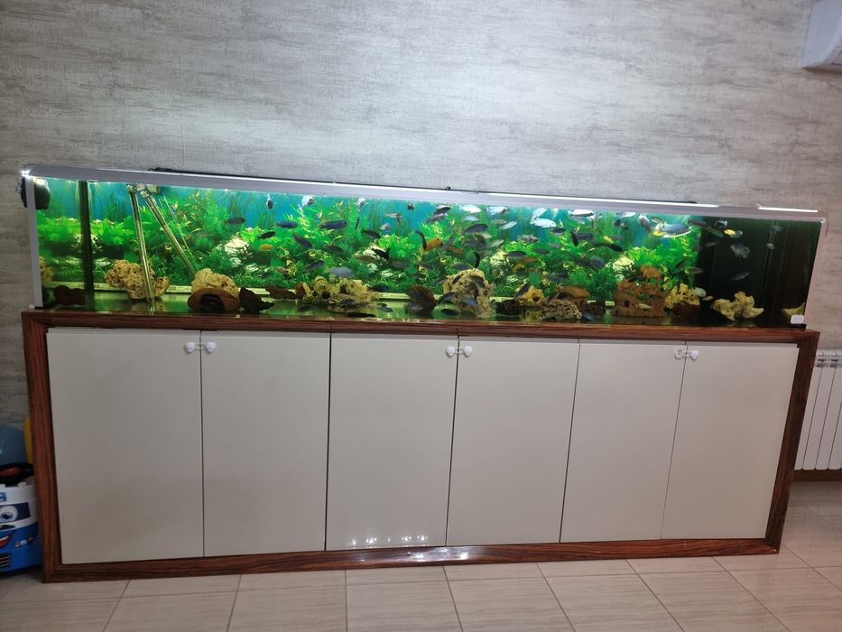 Aquário de 3 metros