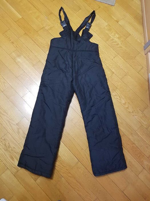 штаны лыжные Big