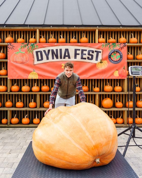 Dynia Olbrzymia Atlantic Giant 391.5 kg - Nasiona