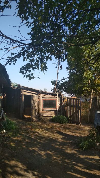 Продається будинок з великою ділянкою в мальовничому селі Чернігівщини