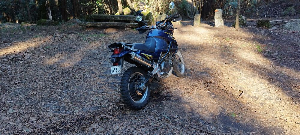 Kawasaki KLE 500