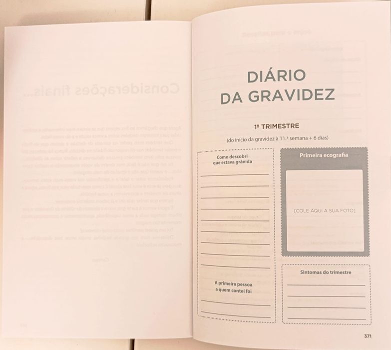 Livro "Estamos Grávidos! E Agora?" – Carmen Ferreira