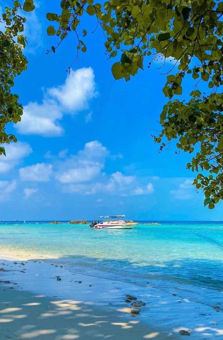 Продаж квартири, готель Radisson на Мальдівах з доходом 18% річних