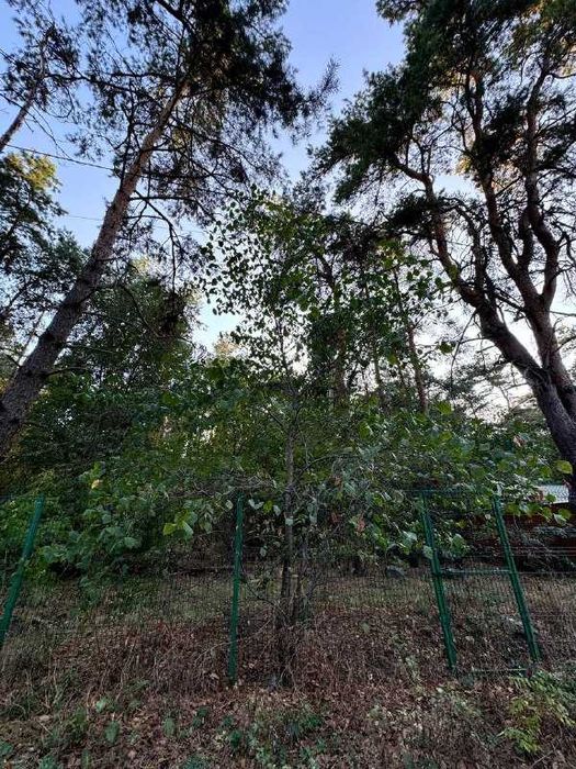 Продажа уникального участка в лесу Обуховка Кировское р-он Коляды