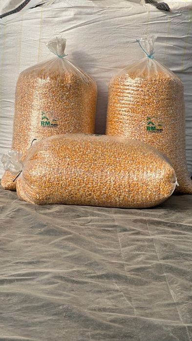 Milho Graúdo RM Agro - Colheita 2025