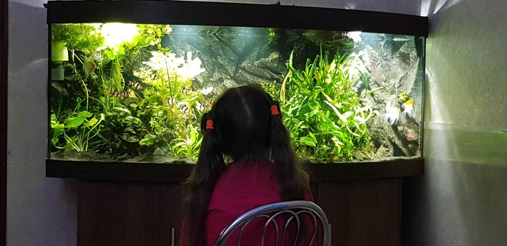 Большой аквариум JUWEL 450л с оборудованием и автоматизацией