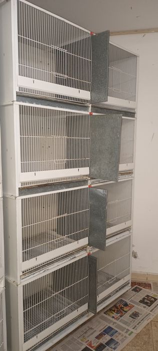 Gaiola Voadeira usada!!!