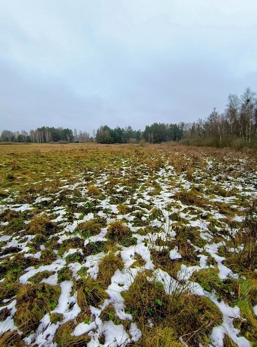 Działka rekreacyjna 3004 m2 w Karwiku, jezioro Seksty, Mazury