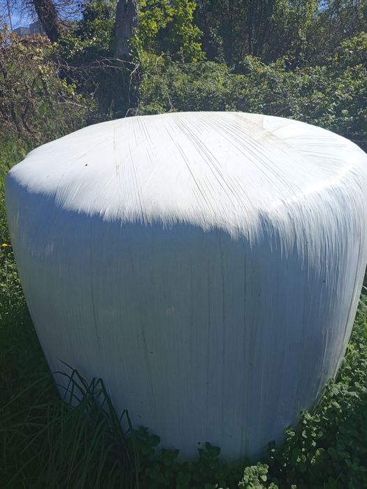 Rolo palha plastificado