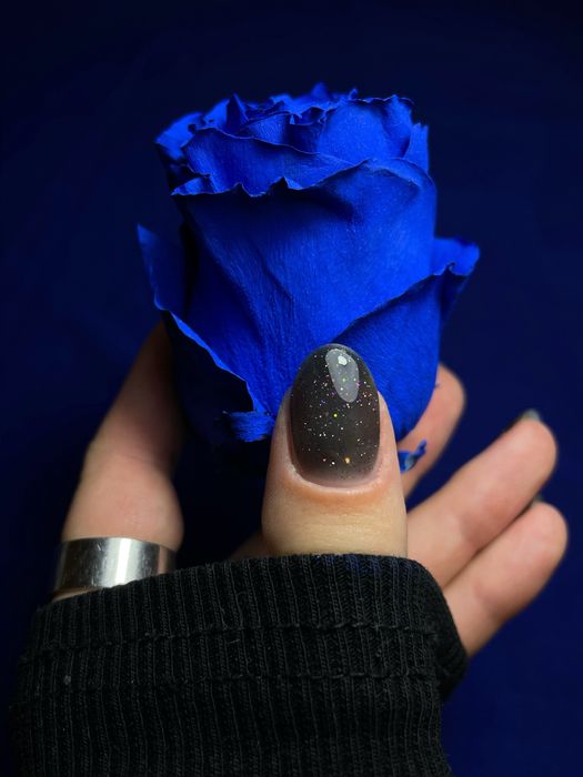 Моделі на манікюр. Манікюр з дизайном за мінімальну оплату