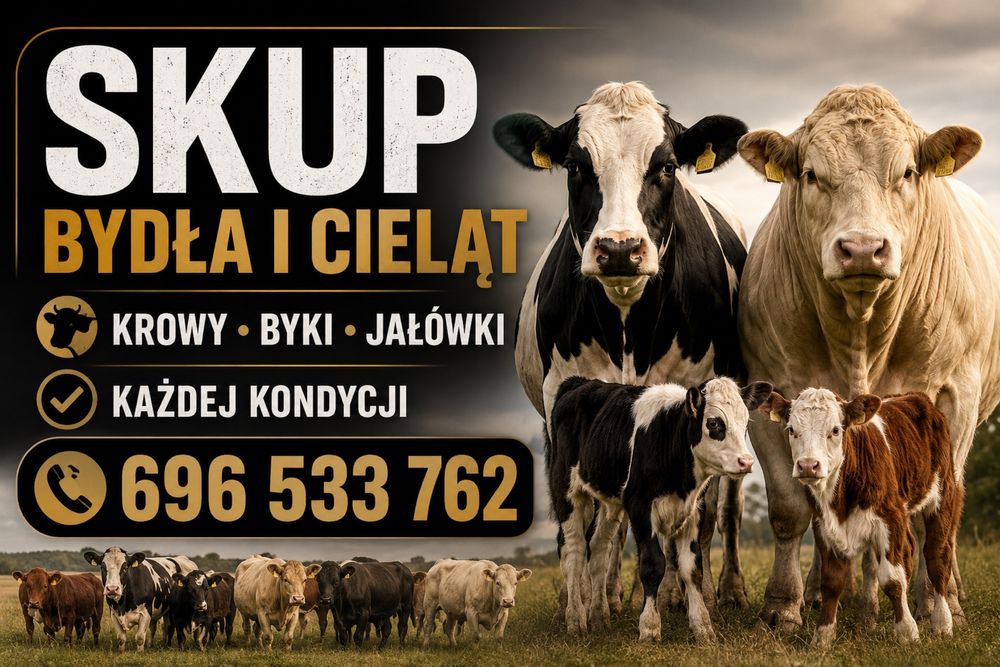 Skup BYDŁA  !!!!!