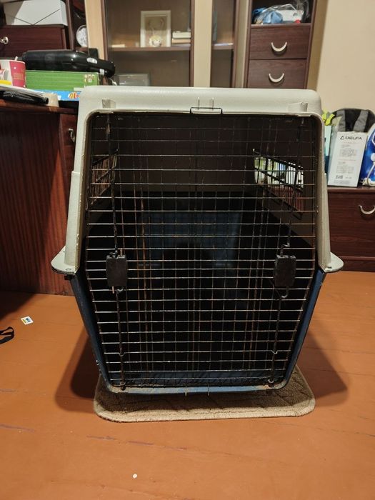 Великий бокс для собаки