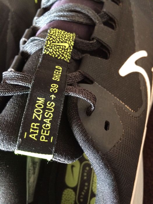 Nike Pegasus 39 Shield