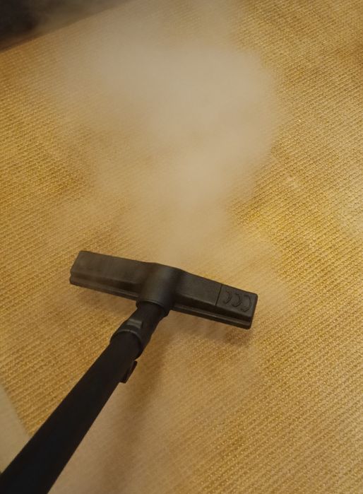 Limpeza a vapor  ao domicílio