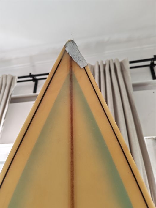 Prancha de surf semente