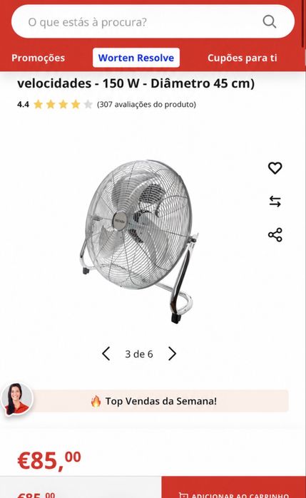 Ventoinha de chao BECKEN grande