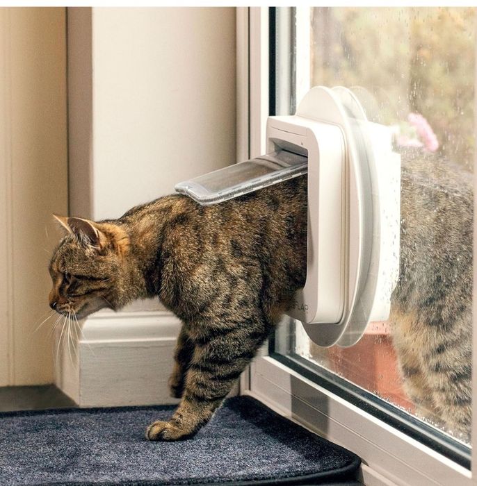 Дверцята для кішки