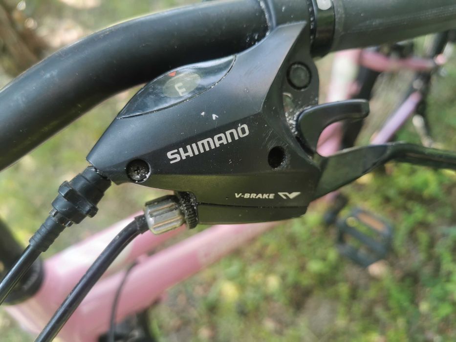 Rower Gary Fisher r. 26