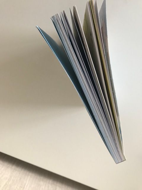 O Bando das Cavernas - Aventuras Radicais