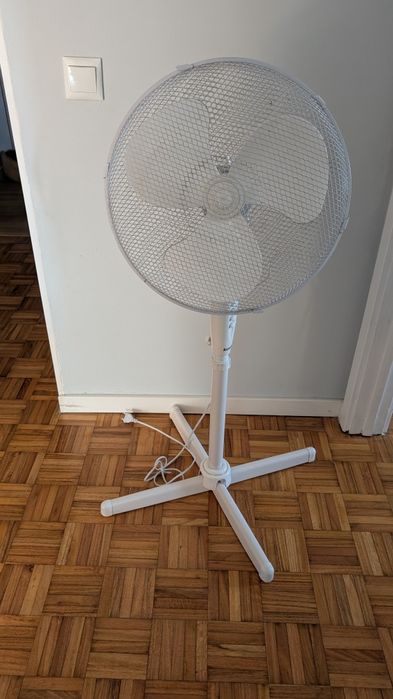 Ventuinha Kufk de pé