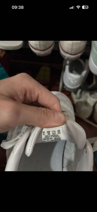 Puma em bom estado, negociável