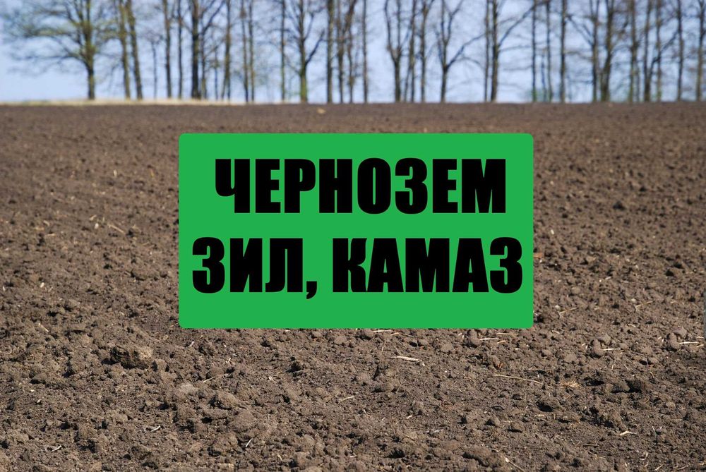 Доставка чернозема 12 т камаз Житомир