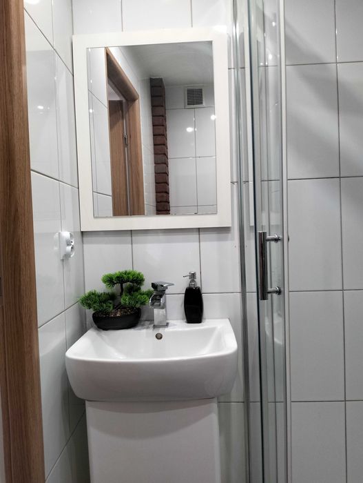 mieszkanie do wynajęcia