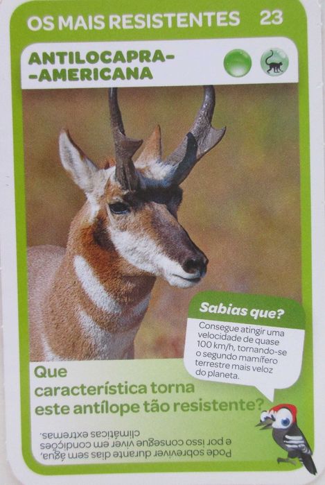 Super Animais 1 - - - Cromos - Cartas Soltas Pingo Doce - - - - Cromos