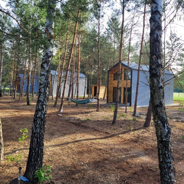 Domki z sauną  w lesie
