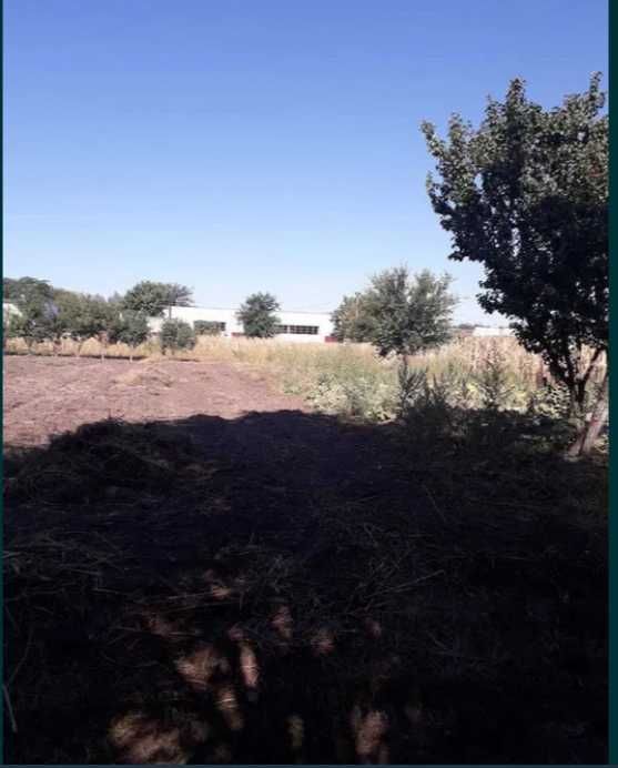 Пропоную до продажу земельну ділянку