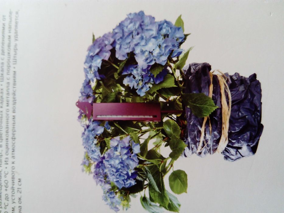 ciekawy gadżet do ogrodu termometr ogrodowy