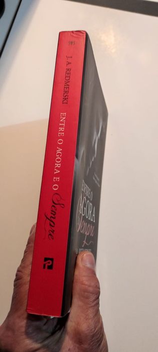 Livro Entre o agora e o sempre - J.A. Redmerski