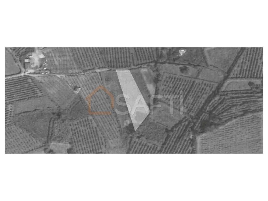 Terreno NÃO CONSTRUTIVO com 1318 m2.