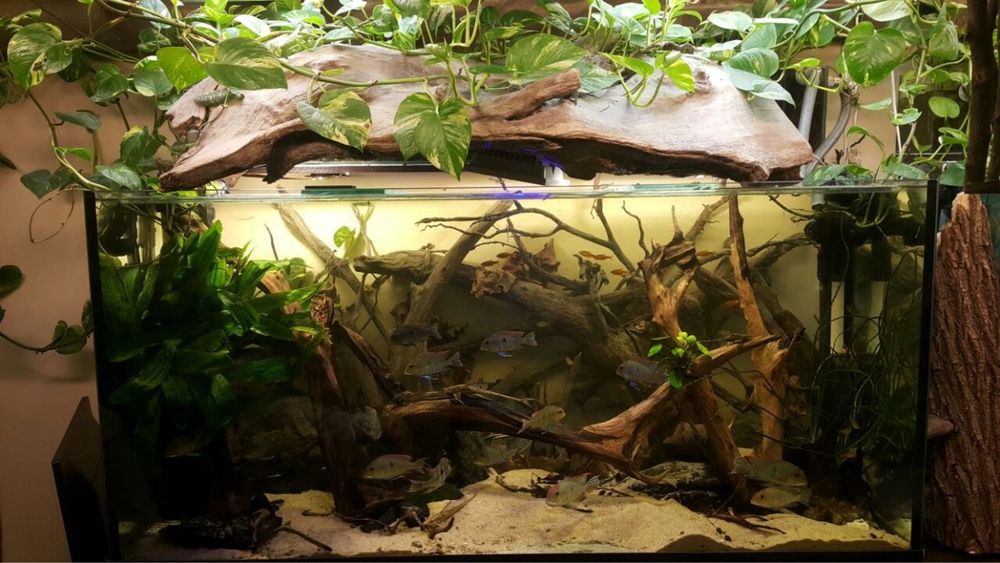 Акваріум Природа 525 л 150х50х70 + фільтр Fluval x5 з підставкою