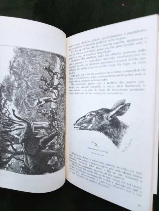 De Angola à contracosta –  vol 2 (Ed. de bolso) Antigo*