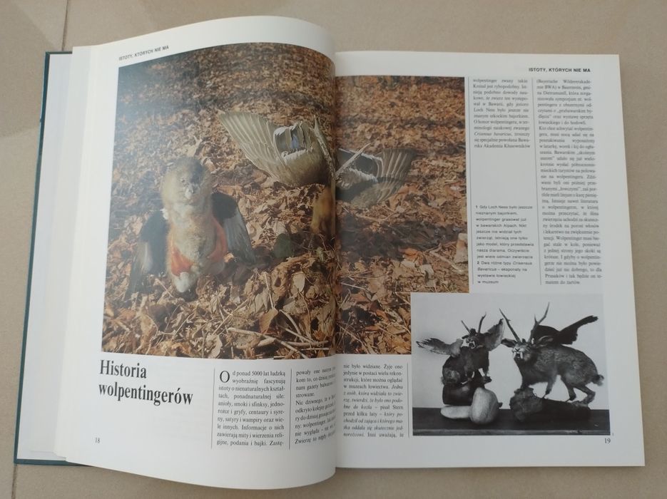 Książka "Zagadkowy świat"