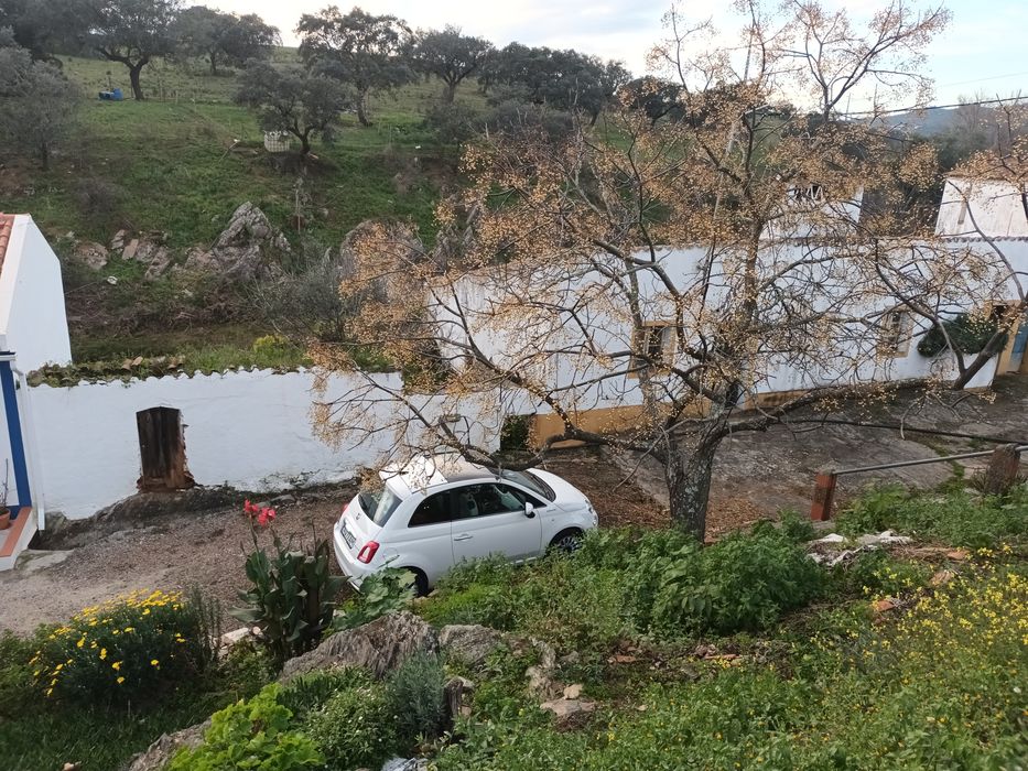 Moradia T2 traça tradicional