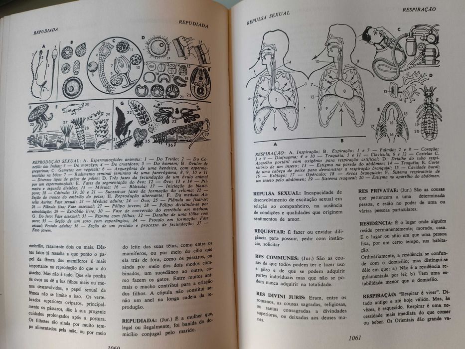 Coleção SAV - Sexo Amor e Vida (em 4 volumes)