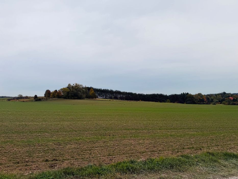 Działka budowlana - pod wymarzony dom - Widok 2