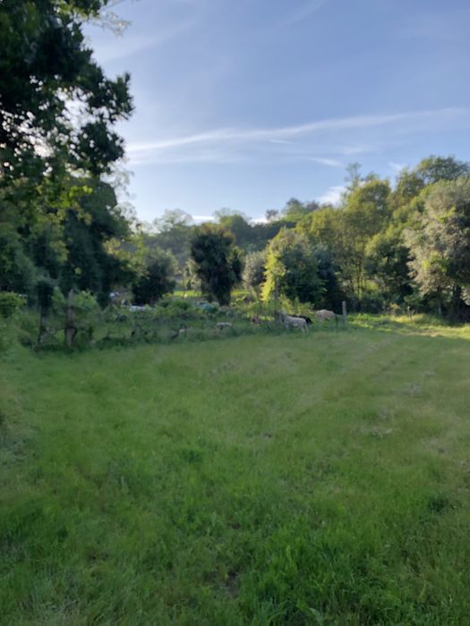 Terreno para projecto agricola