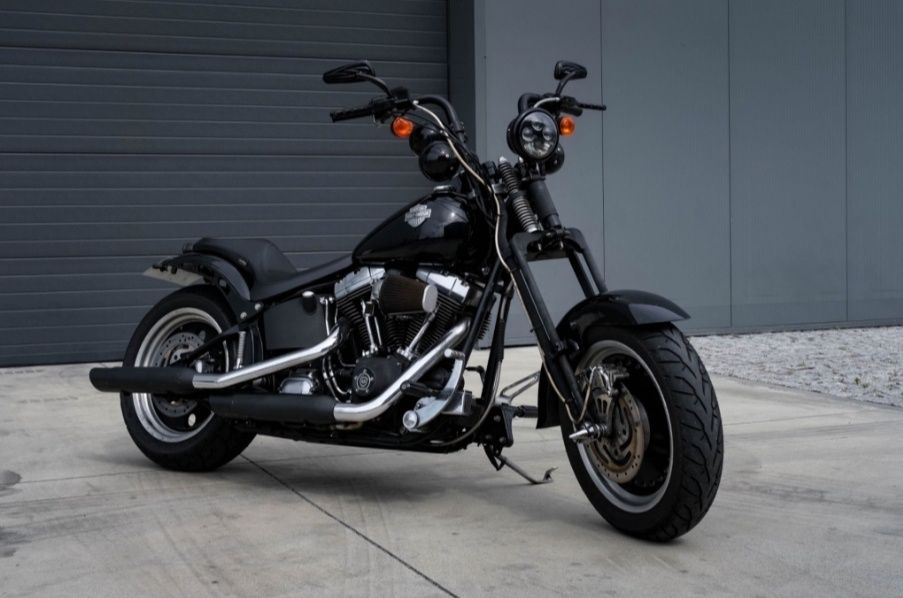 Harley Davidson thunder Mountain 1/1