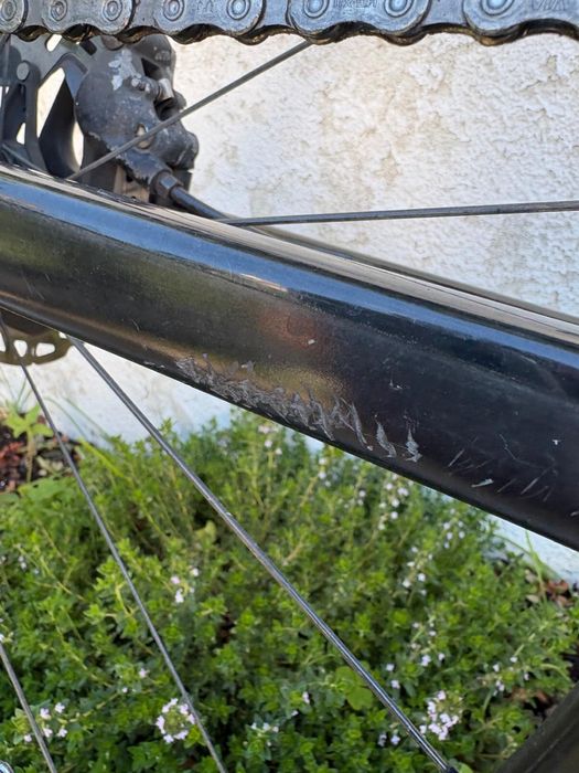Canyon Endurance CF SL Disc 8.0