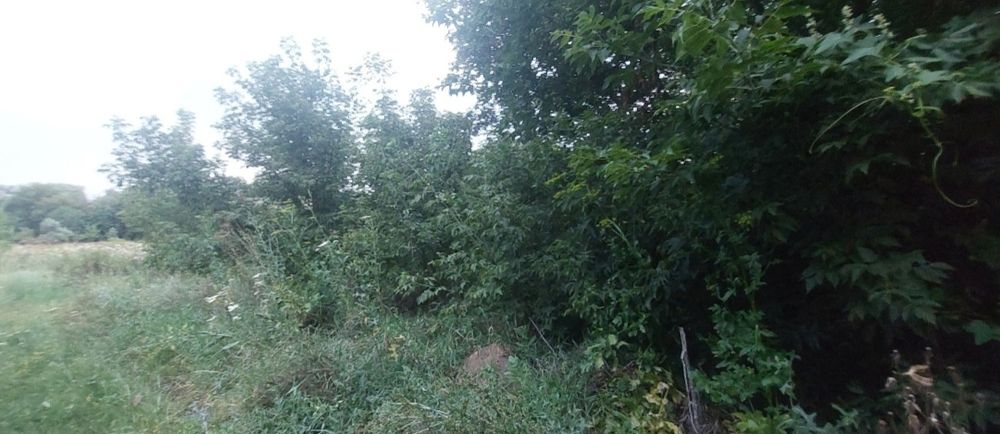 Продам земельный участок в Солоницевском ОТГ (п.Пересечное)