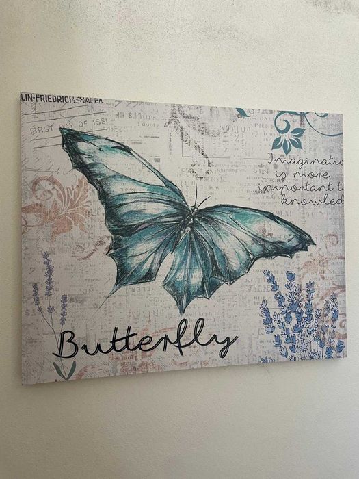 Quadros de Decoração - 15€ cada