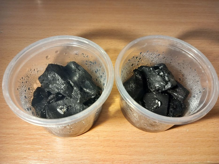 Skoczogonki białe/ekipa sprzątająca